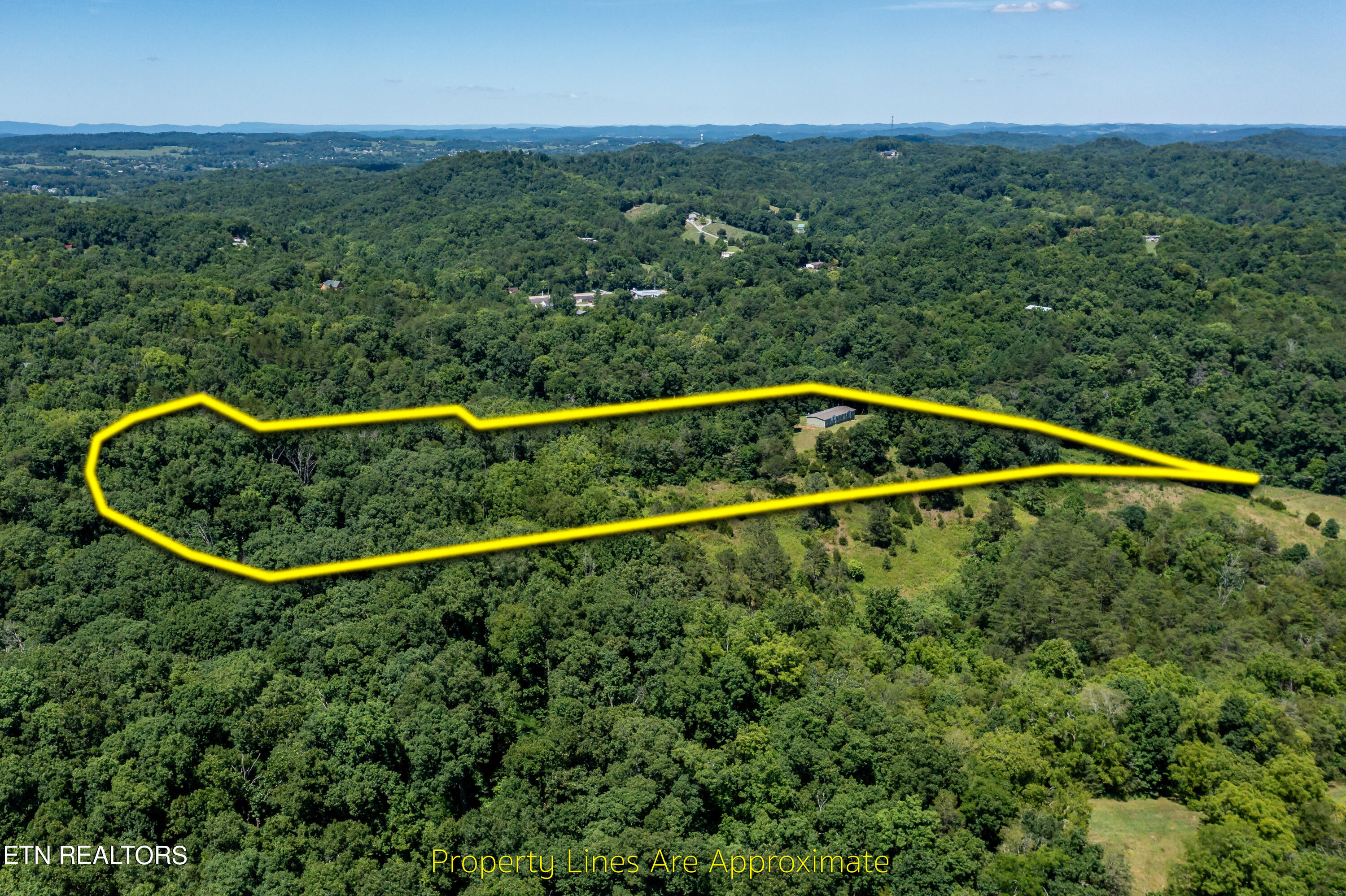 246 Reagan Branch Road