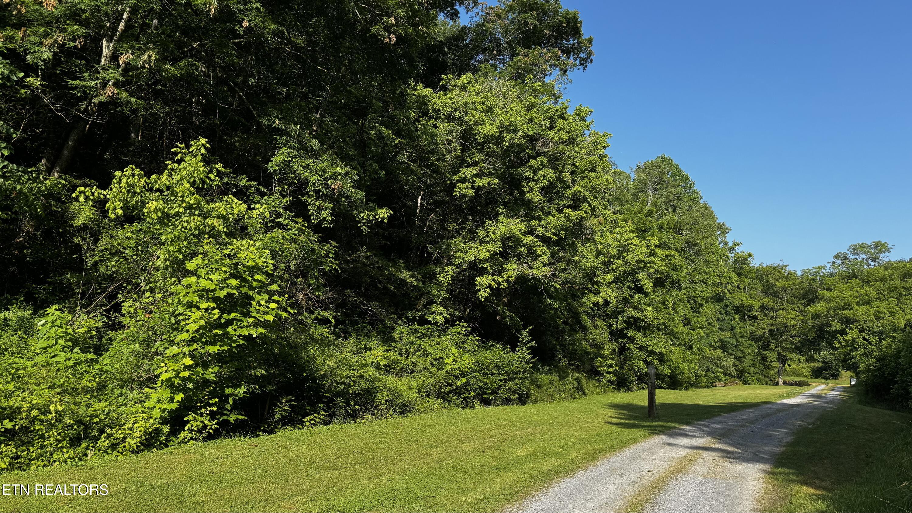 609 Lane Hollow Rd