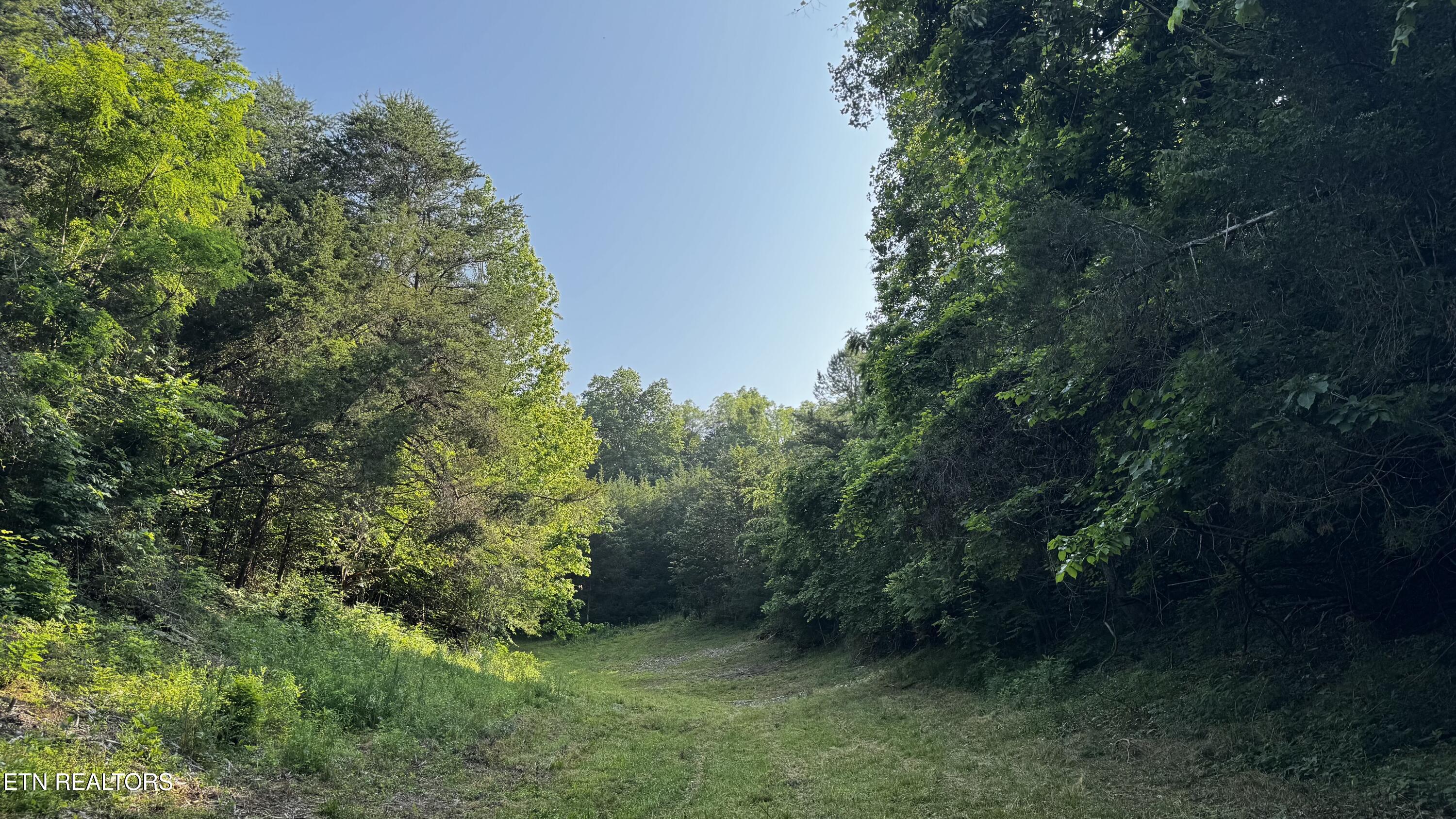 609 Lane Hollow Rd