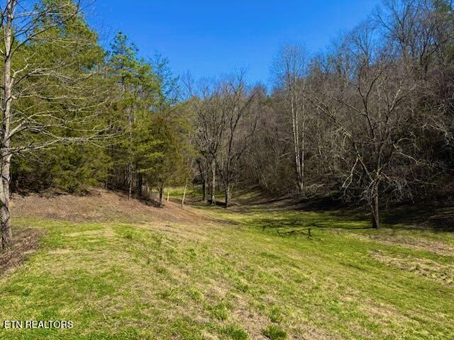 609 Lane Hollow Rd