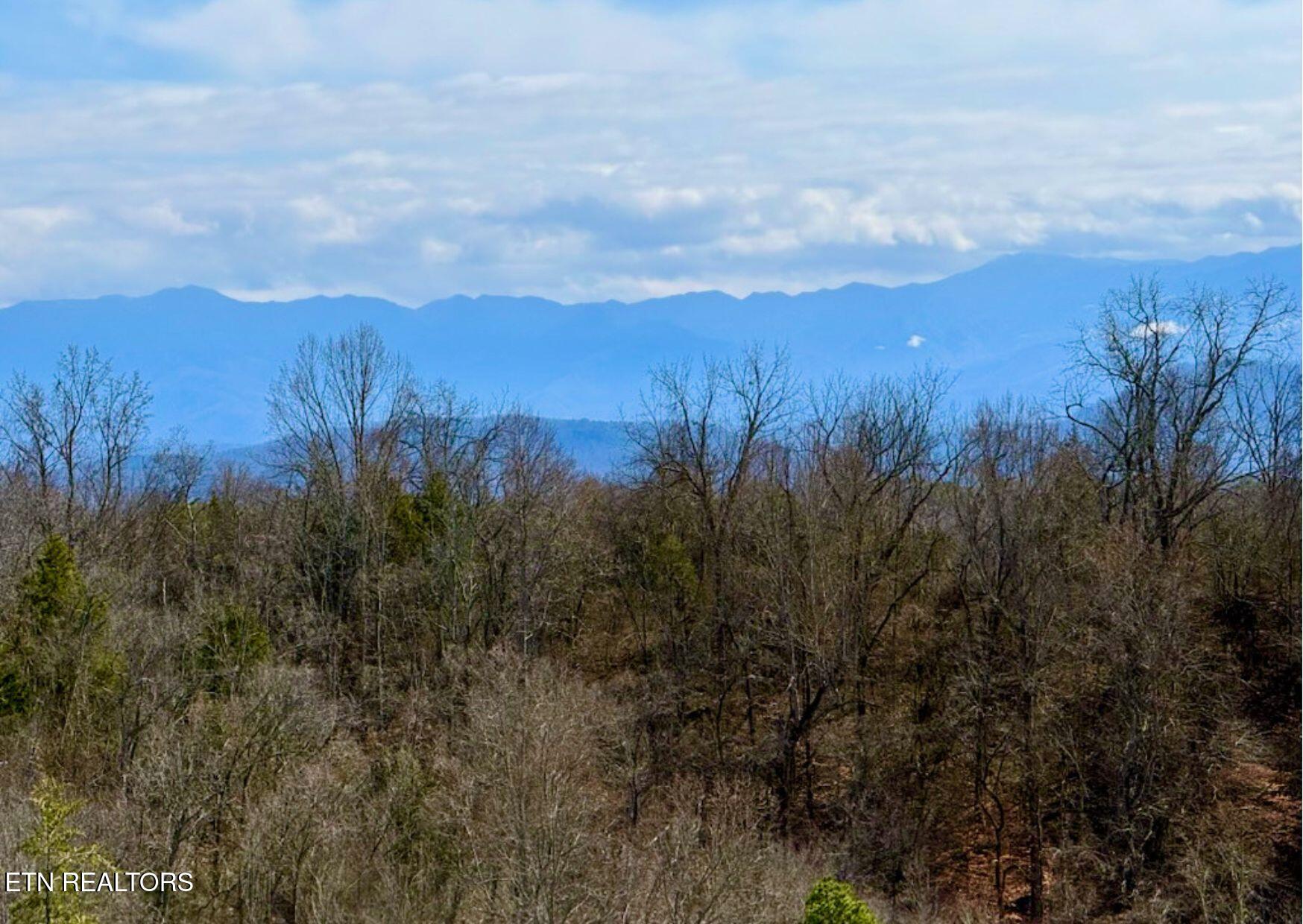 609 Lane Hollow Rd