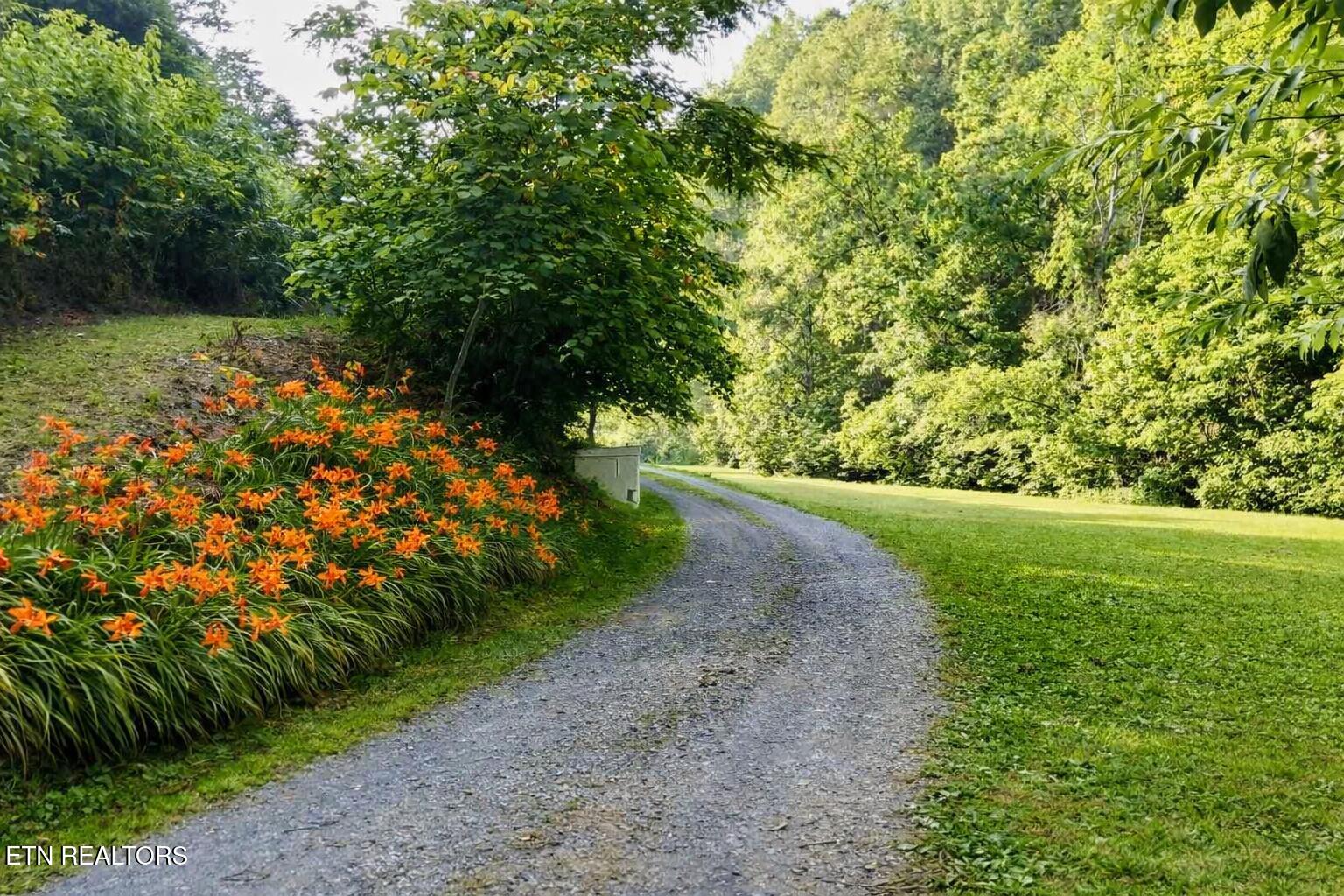 609 Lane Hollow Rd