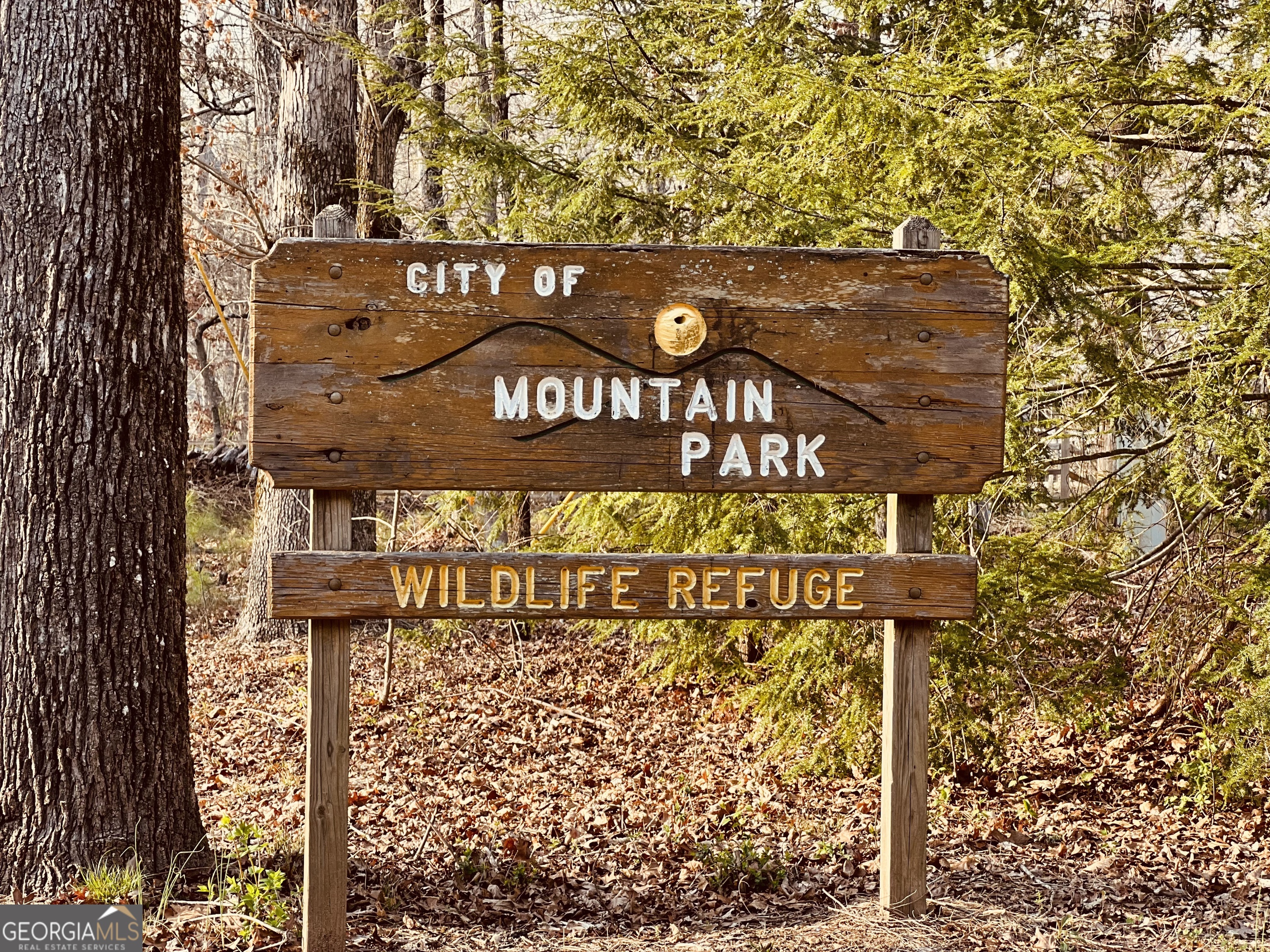 118 Thrush Drive # B