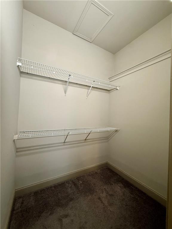 118 Thrush Drive Unit B