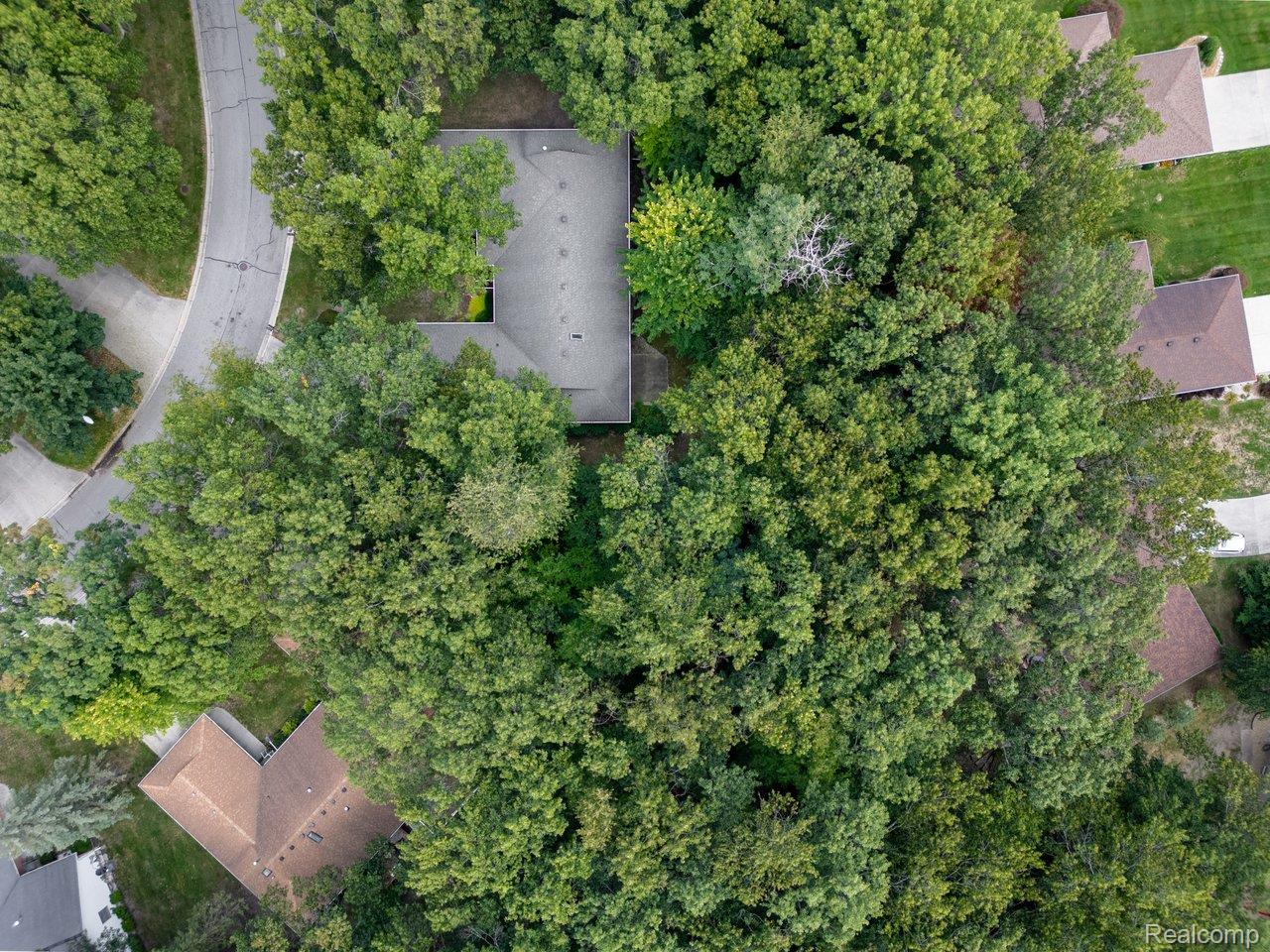 3888 Butternut Court