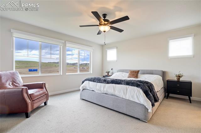 5858 Spring Breeze Drive