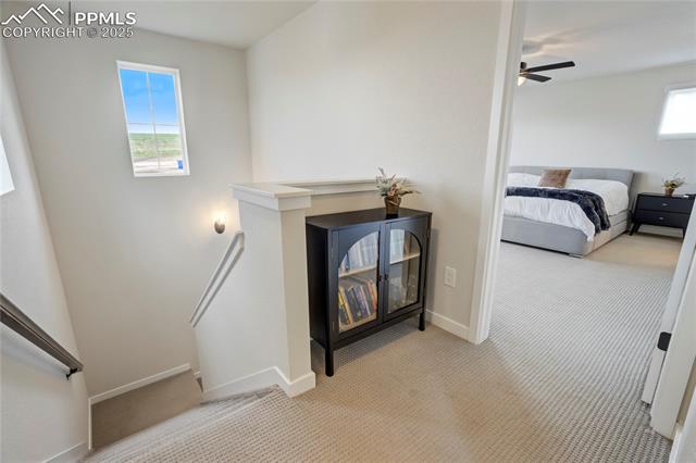 5858 Spring Breeze Drive