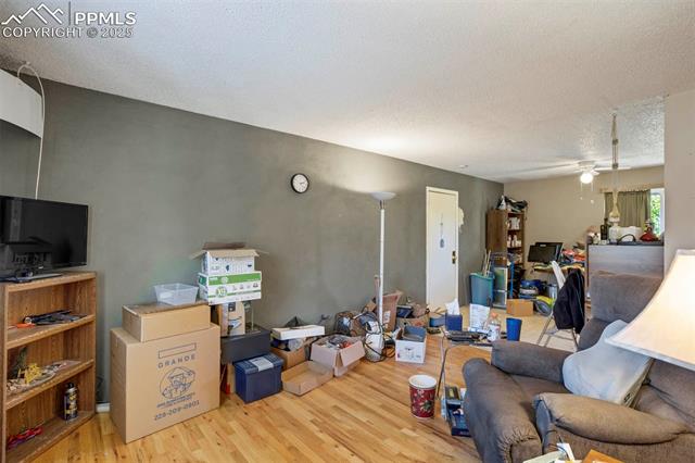 1316 Rushmore Drive