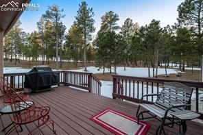14954 Snowy Pine Point