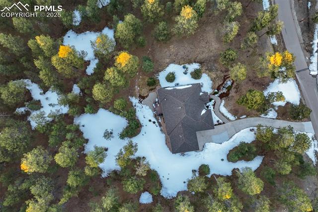 14954 Snowy Pine Point