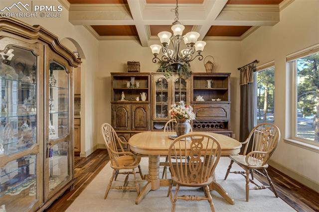 14954 Snowy Pine Point