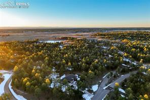 14954 Snowy Pine Point
