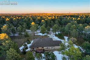 14954 Snowy Pine Point