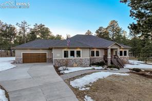 14954 Snowy Pine Point