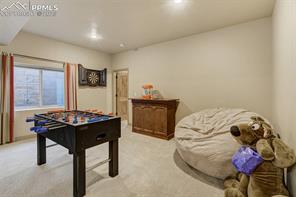 14954 Snowy Pine Point