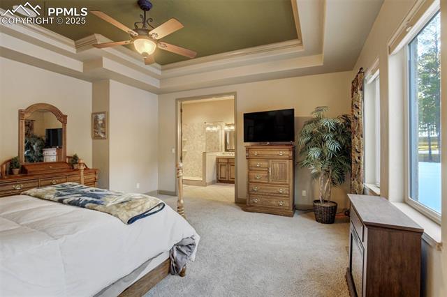 14954 Snowy Pine Point