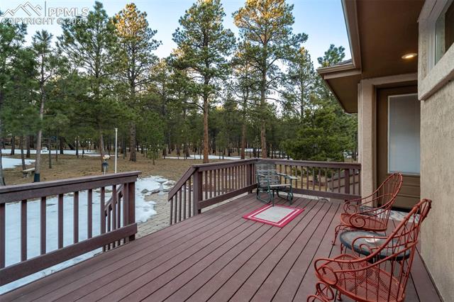 14954 Snowy Pine Point