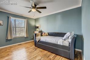 408 Pyrite Terrace