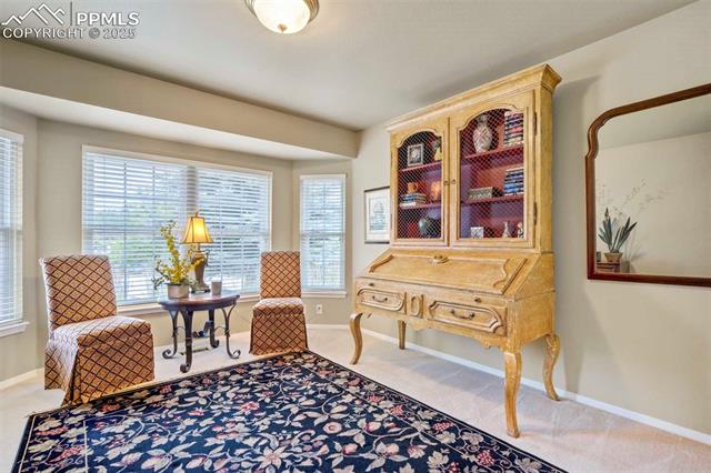 1345 Casson Court
