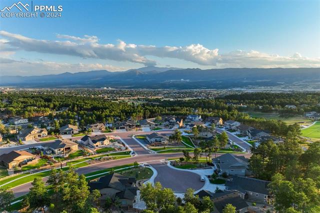 16321 Tree Top Court