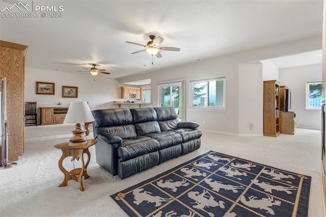 14324 Eagle Villa Grove