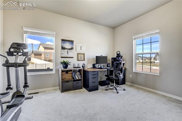 4427 Prairie Agate Drive