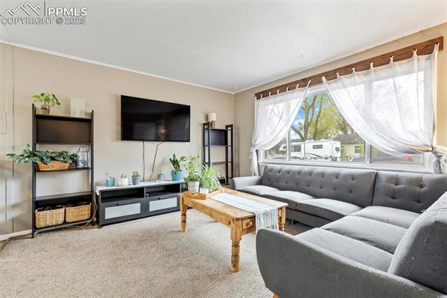 408 Springfield Avenue