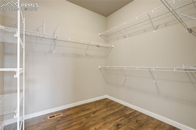 3347 Golden Meadow Way