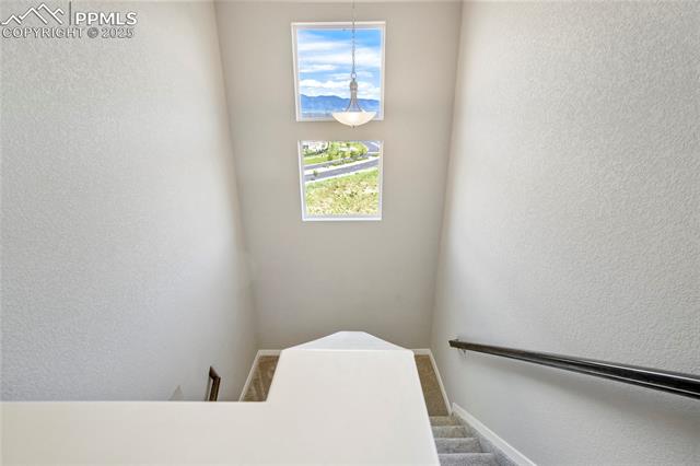 11362 Modern Meadow Loop