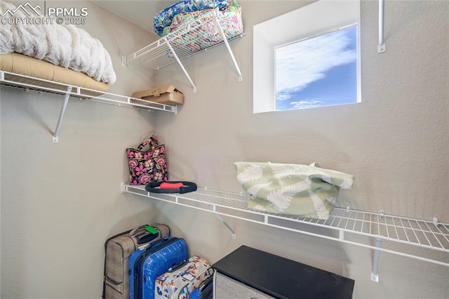 11362 Modern Meadow Loop