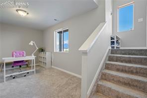 11362 Modern Meadow Loop