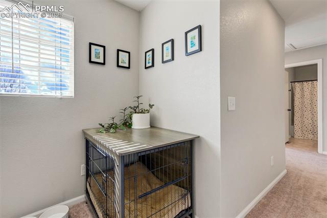 4149 Knollvale Drive