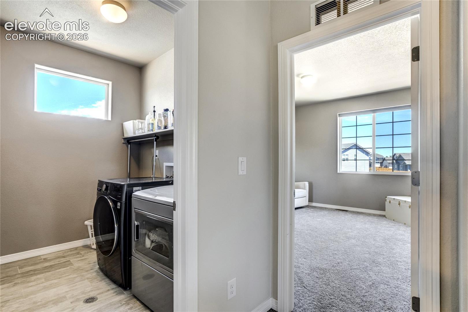 7664 Alpine Daisy Drive