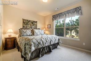 8396 Snow Cap View