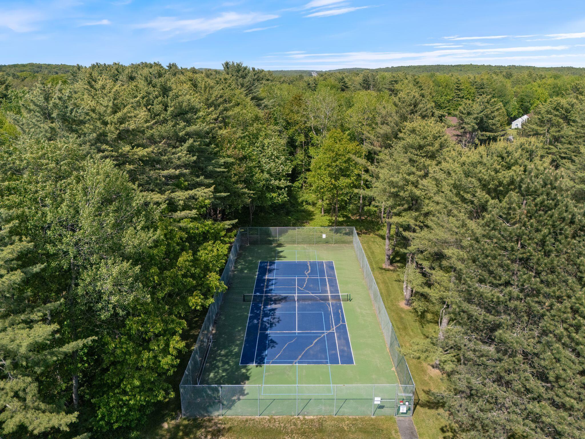 3 Blueberry Road, 3