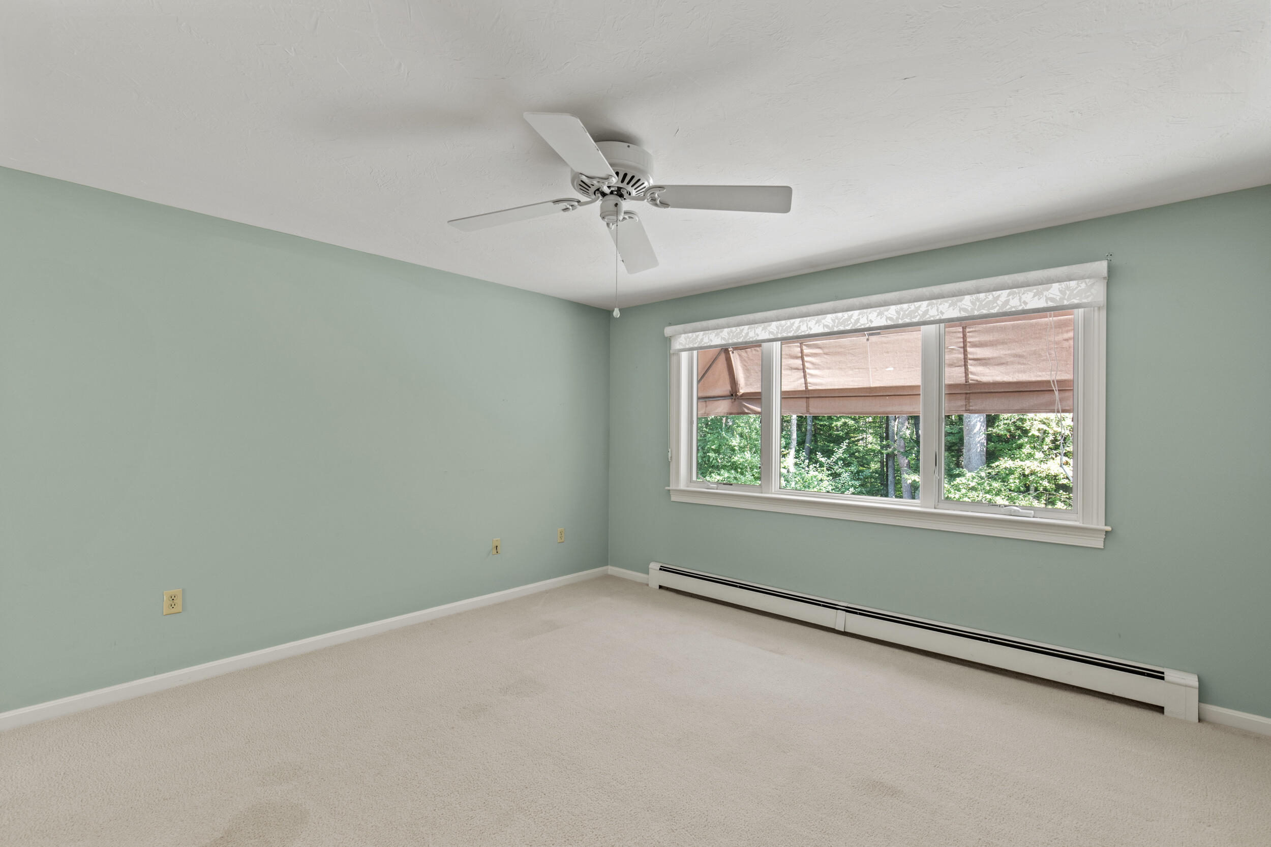12 Blueberry Road, 12