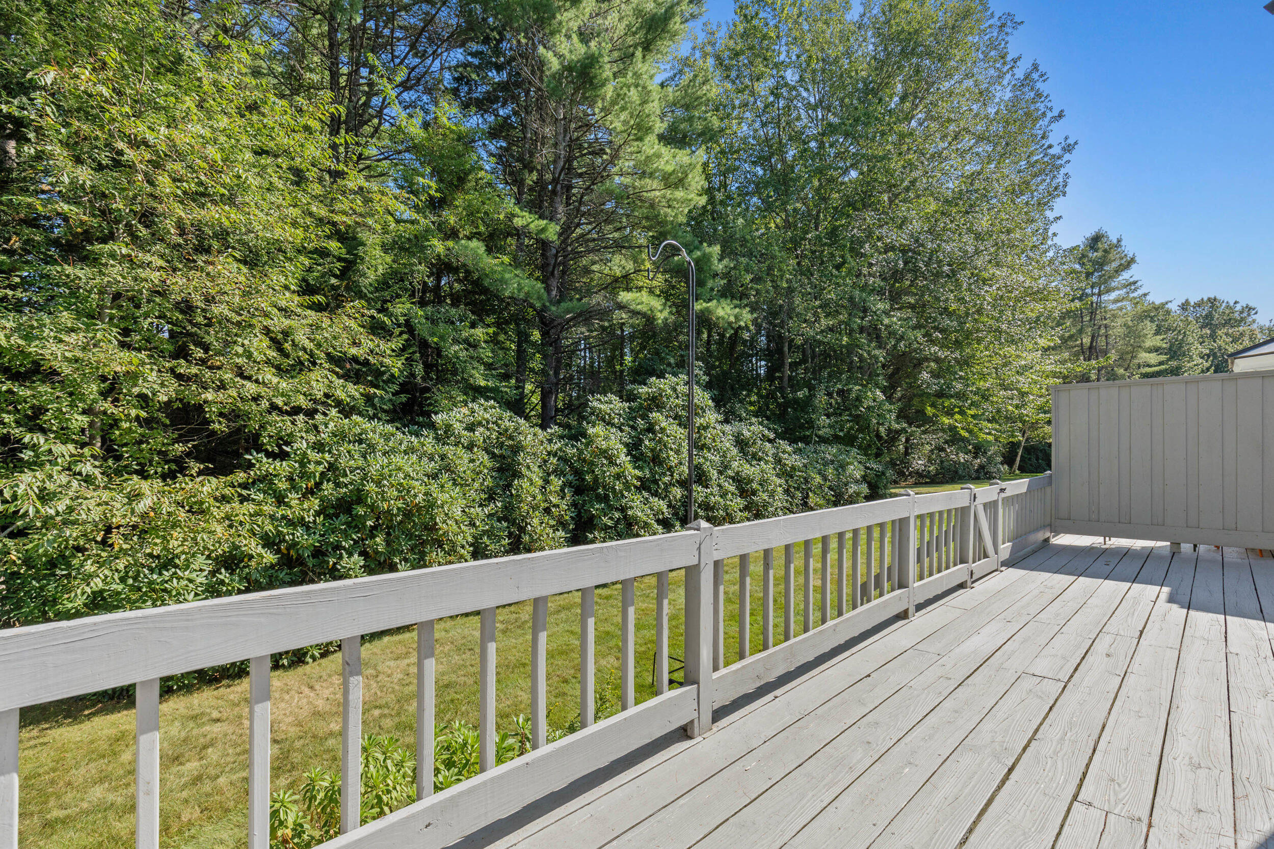 12 Blueberry Road, 12