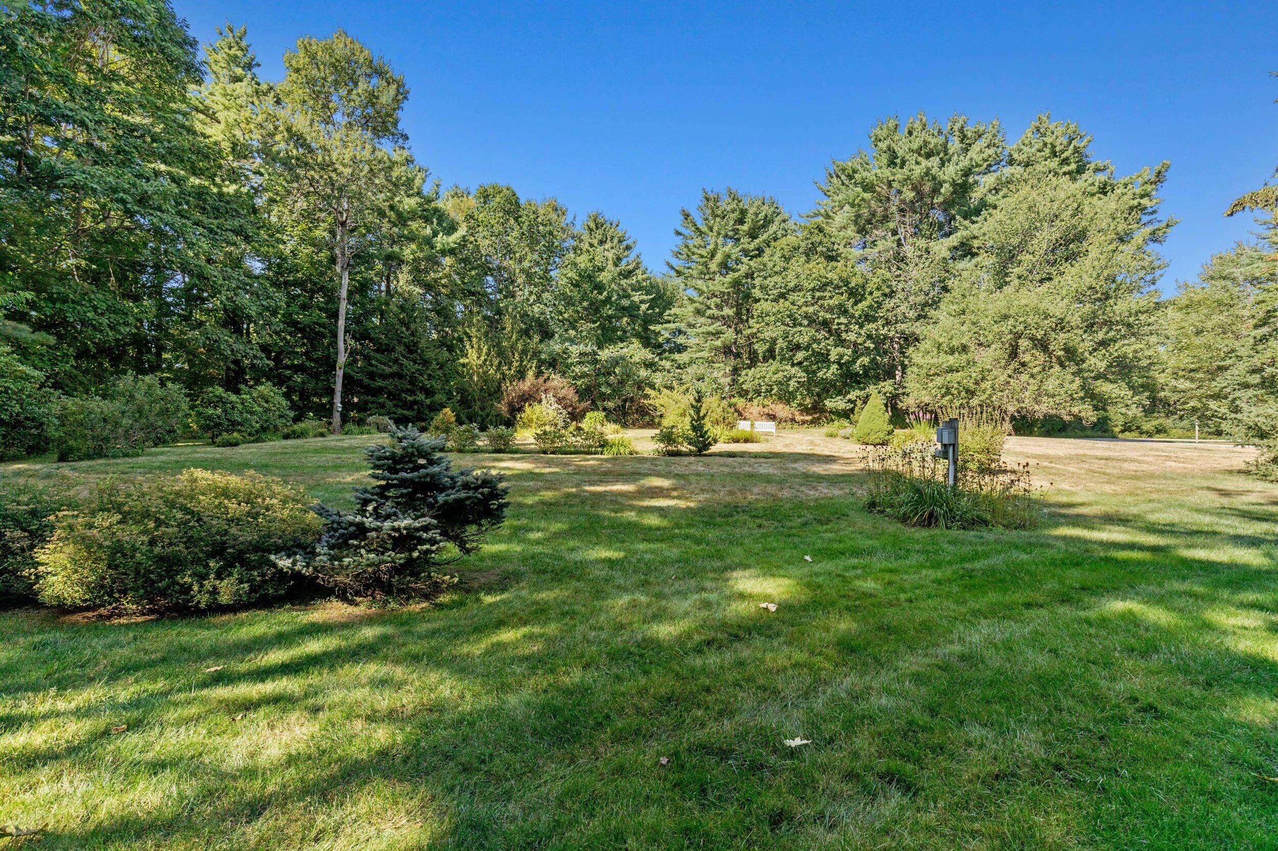 12 Blueberry Road, 12