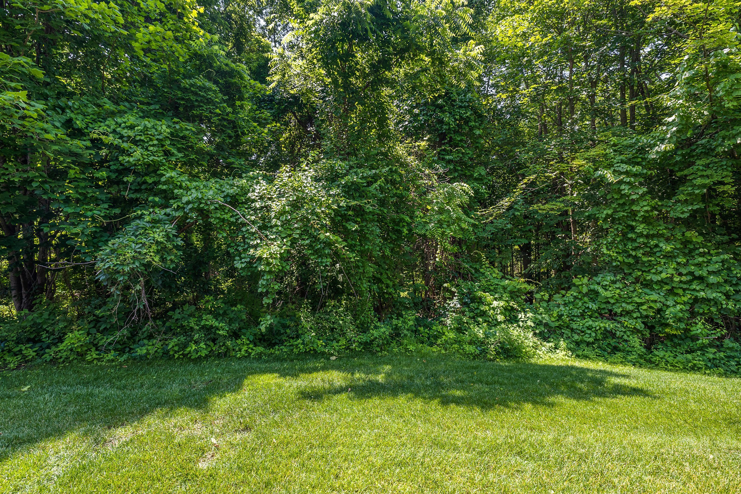 44641 ASPEN RIDGE Drive