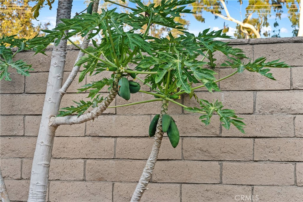 16308 Indian Creek Rd.