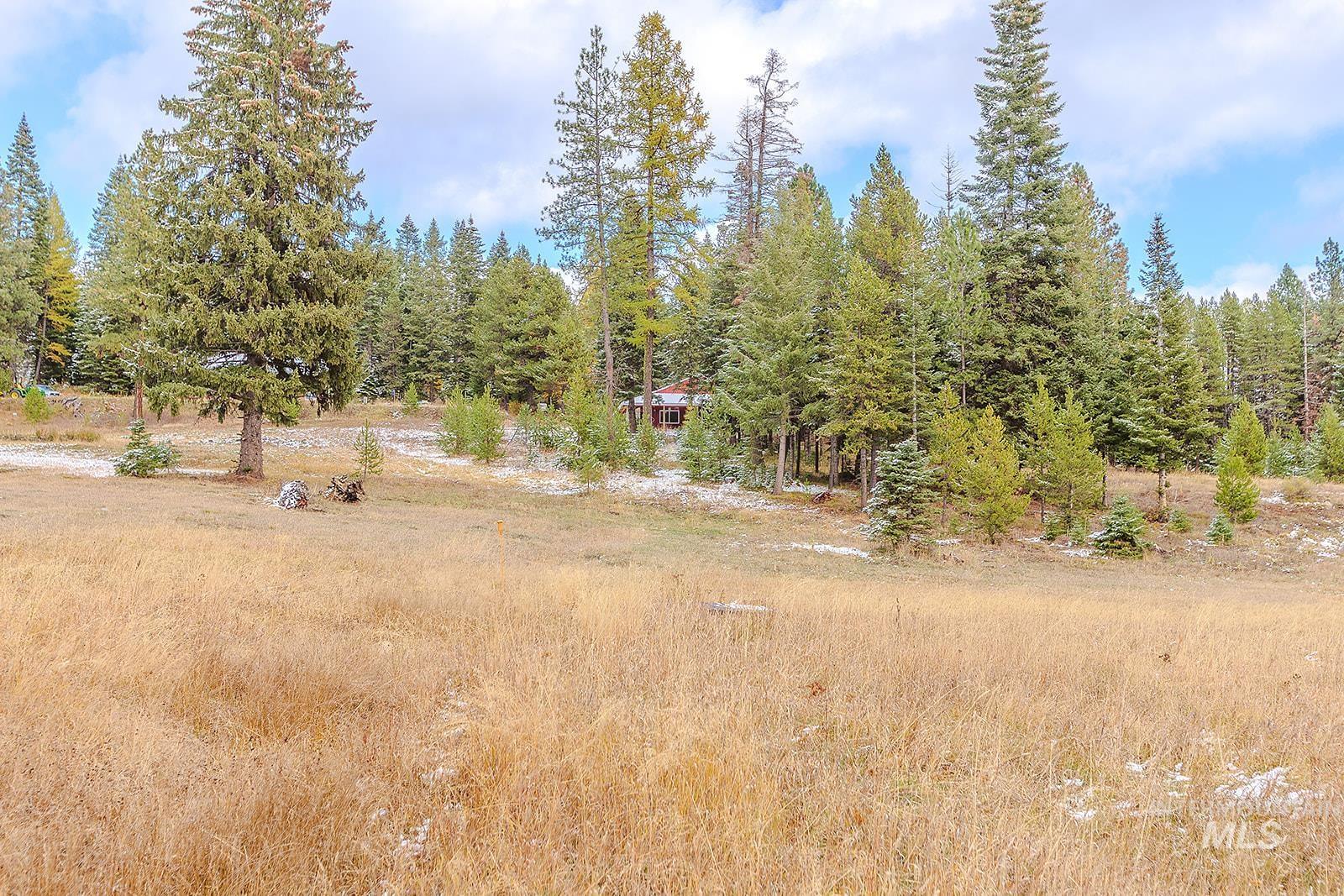 43406 Black Pine Drive