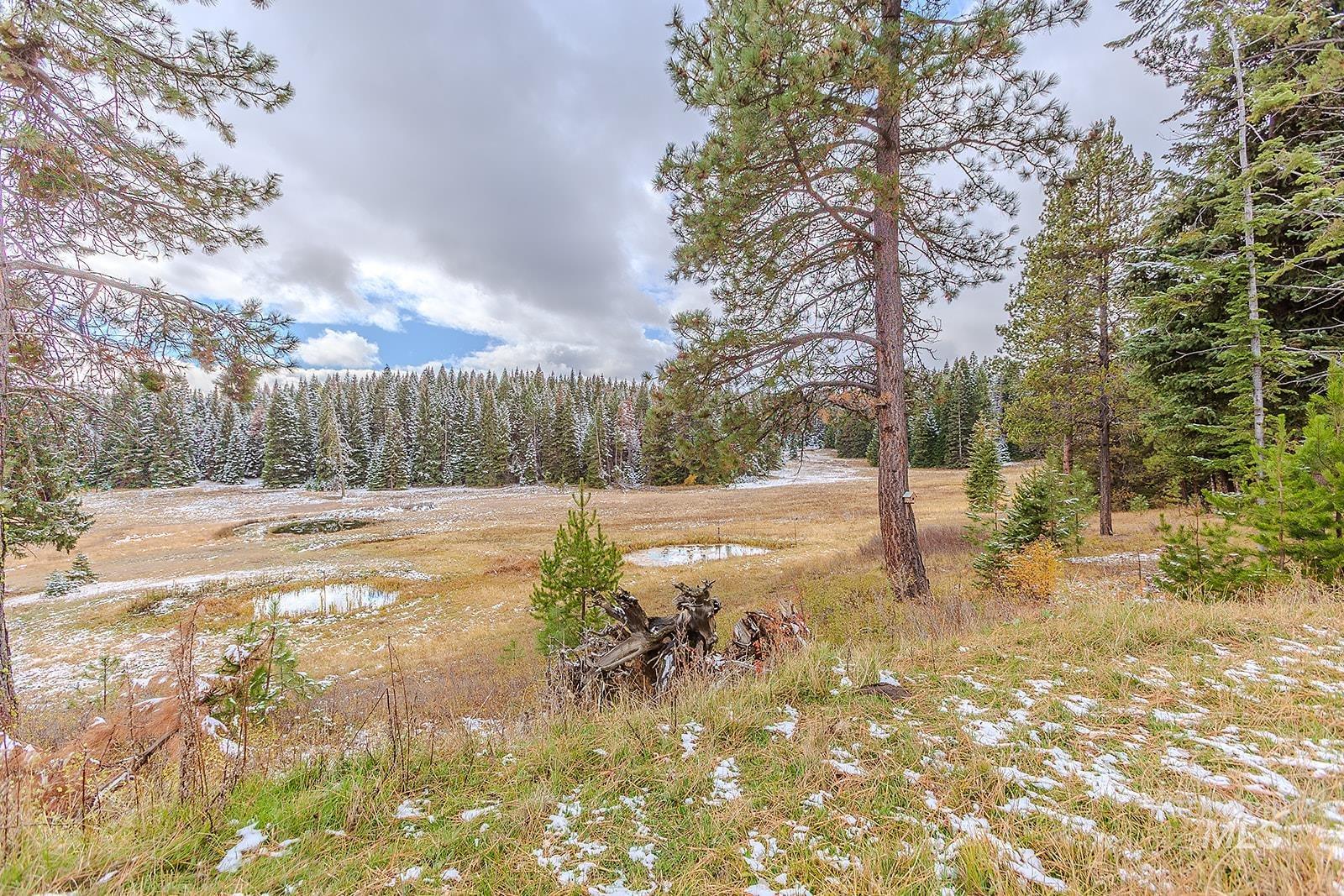 43406 Black Pine Drive