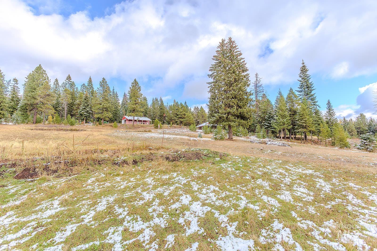 43406 Black Pine Drive