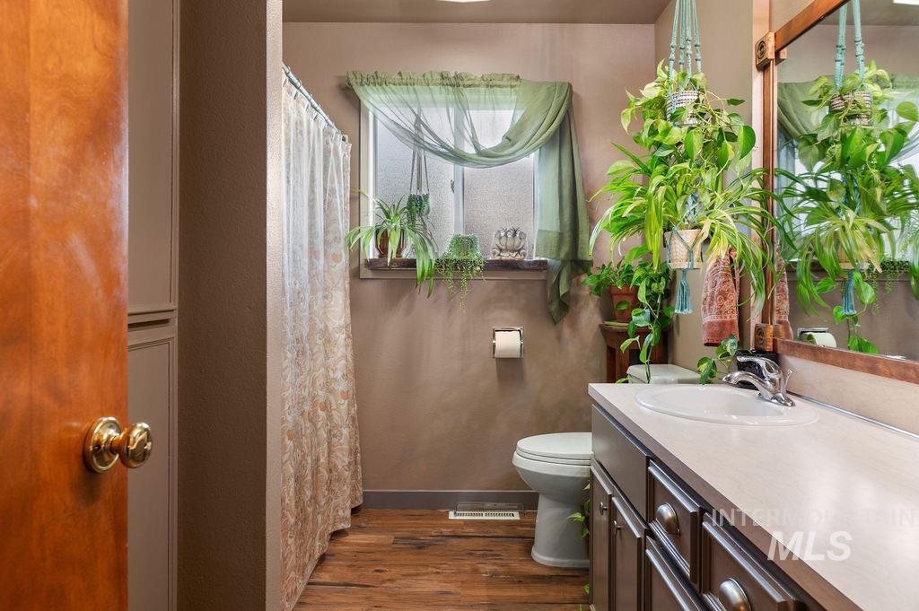 Bathroom with a dark wood vanity, shower curtain, and abundant hanging plants.