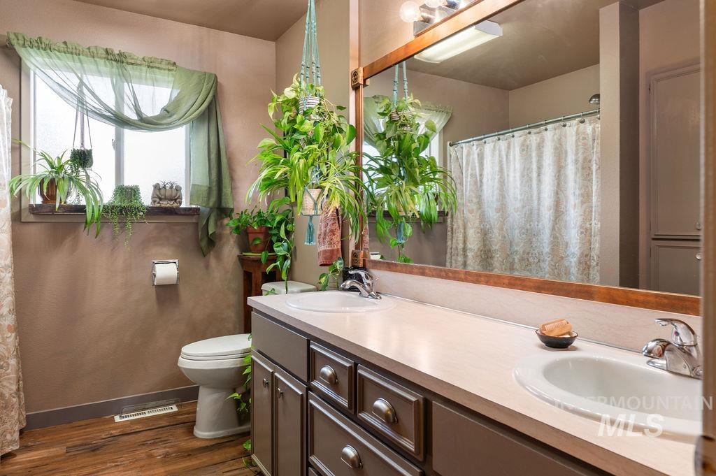 Bathroom with a double-sink vanity, large mirror, and leafy plants by the window.