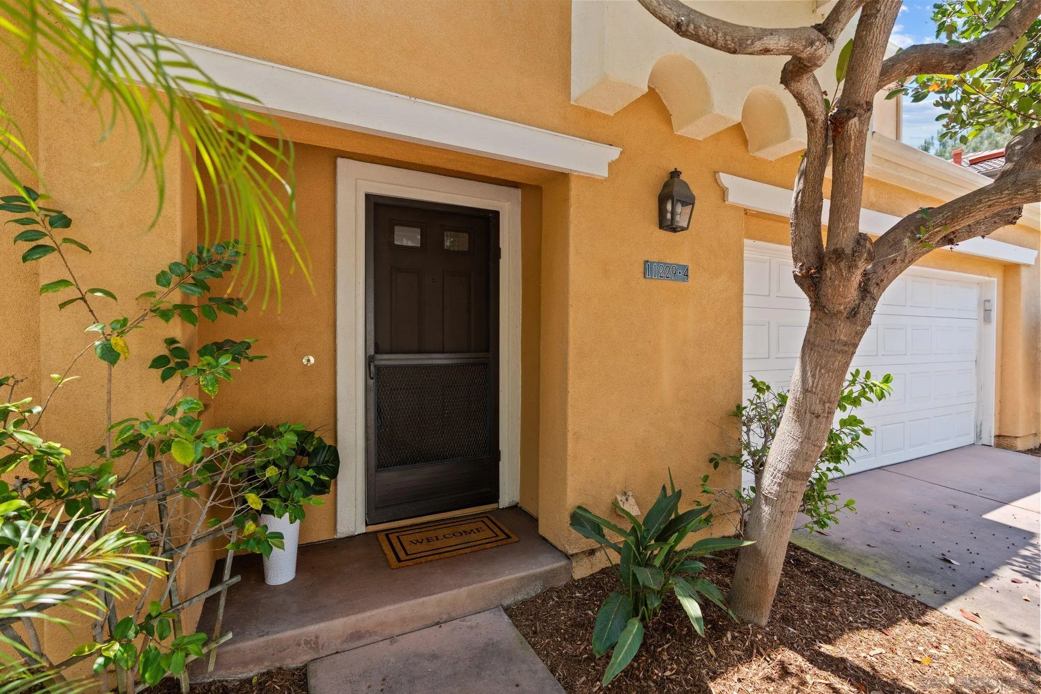 11229 Carmel Creek