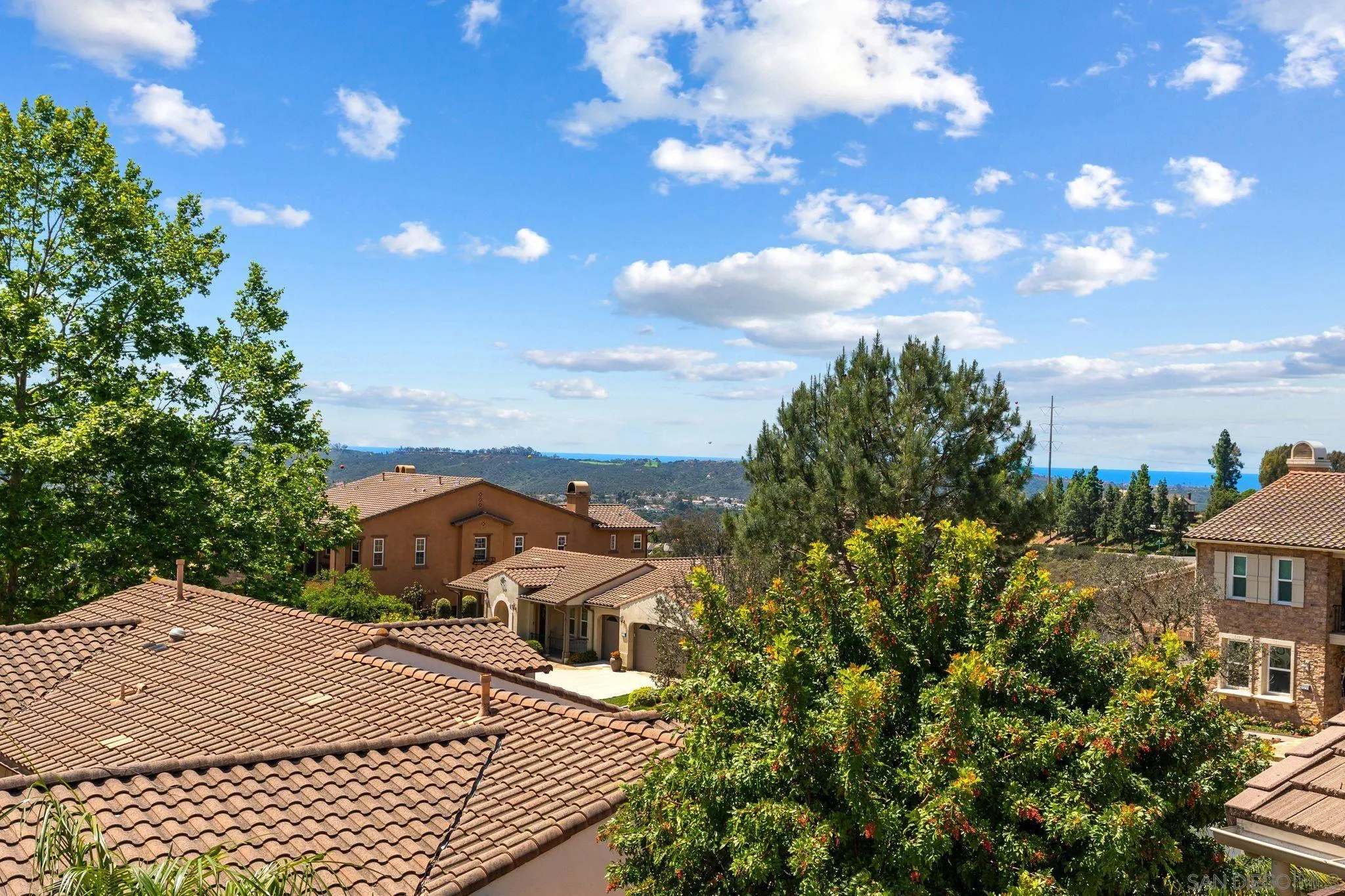 3228 Sitio Montecillo