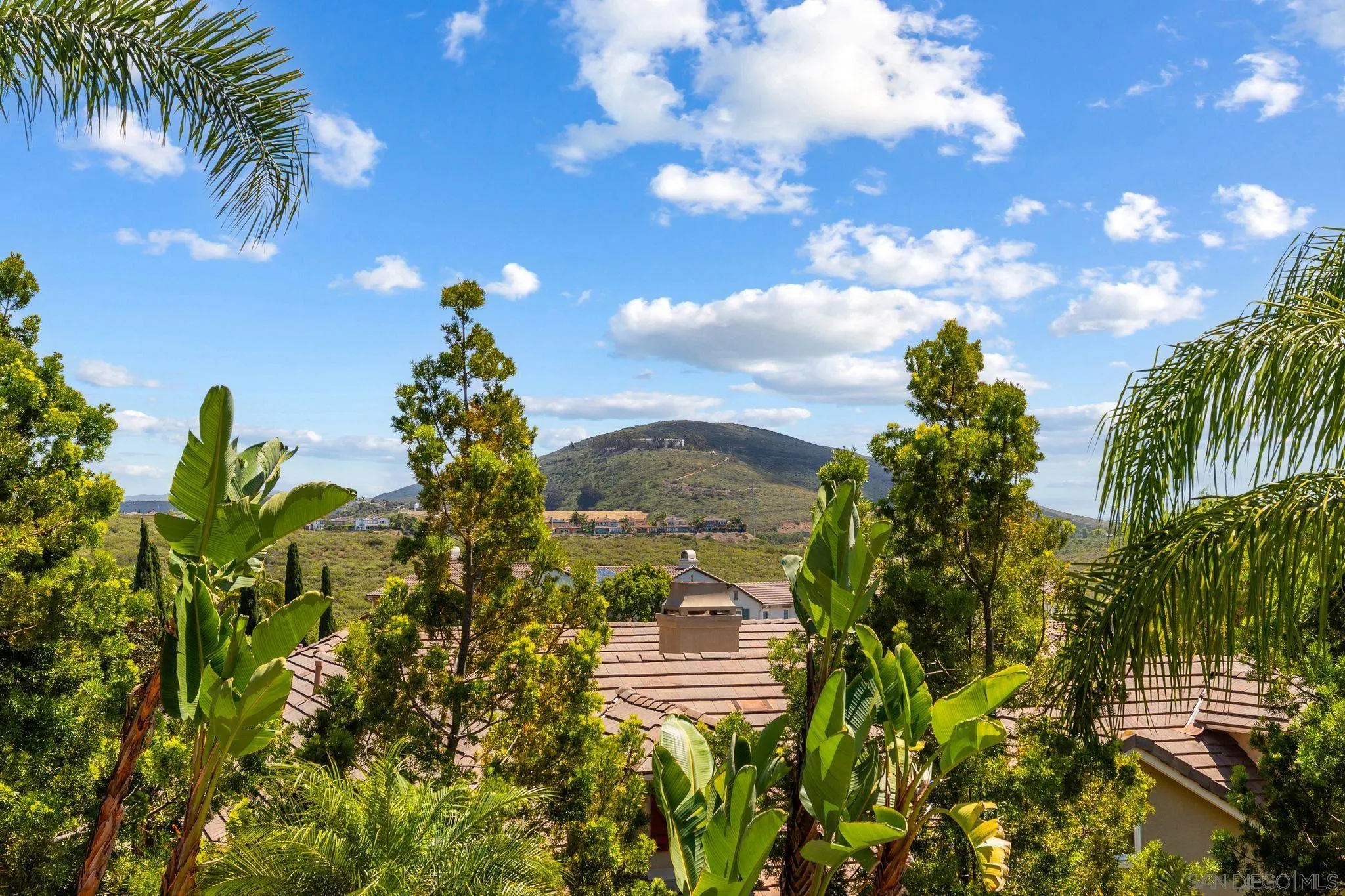 3228 Sitio Montecillo