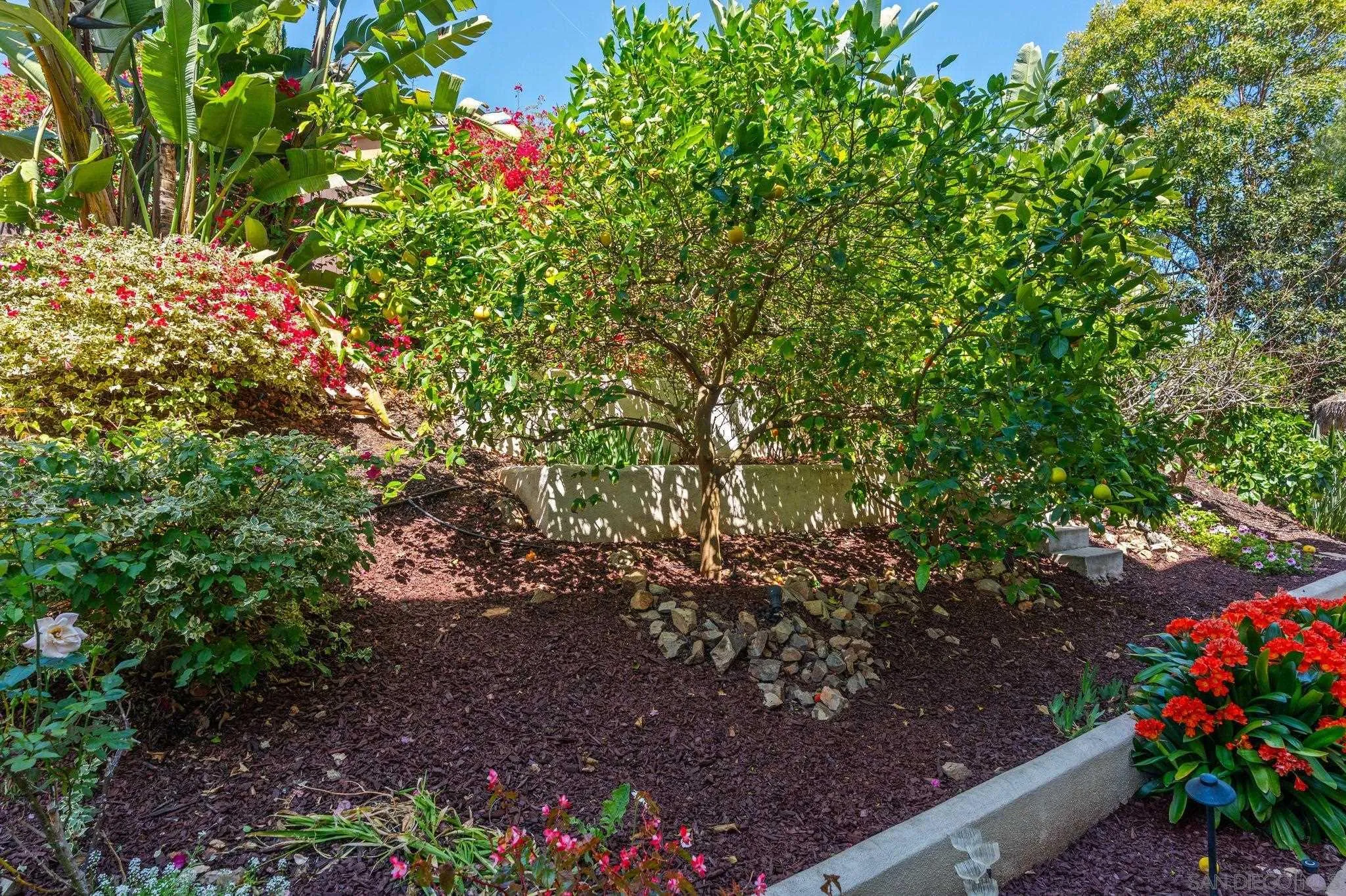 3228 Sitio Montecillo