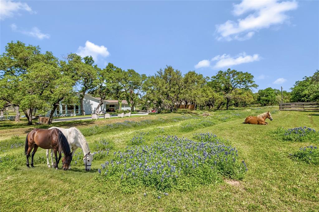 24 Country Oaks DR